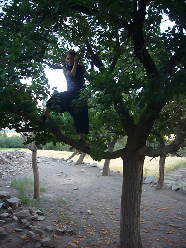 Stealing apricots.